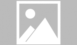 娱乐圈离谱的吃瓜小说,那些离谱的瓜，你敢信吗？